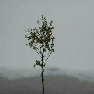 撩起老师旗袍狠狠挺进
